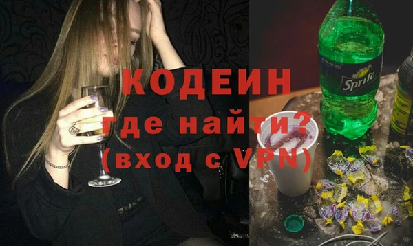 индика Верея